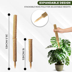 EcoNour 2 pack of 16 inch moss poles