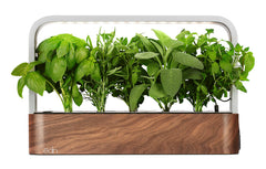 EDN Indoor Smart Garden front view with 10 Basil SeedPods