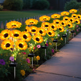 EDOF 6 Pack Sunflower Solar Lights outdoor garden display