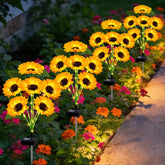 EDOF Solar Sunflower Lights outdoor pack of 4 with warm white glow