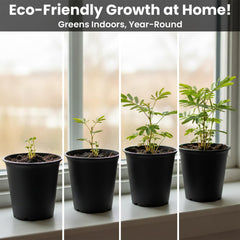 Educational activity card included in Zombie Plant Grow Kit
