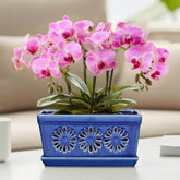 EFISPSS 10 Inch Blue Ceramic Orchid Pot front view