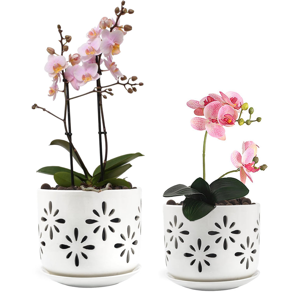 EFISPSS 5+6 inch ceramic orchid pot with saucer front view