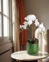 EFISPSS Orchid Pot 6 inch ceramic pot with decorative leaf cutouts