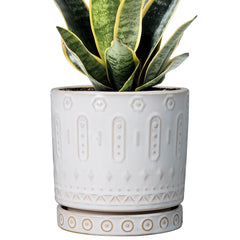 Eightpot 6 Inch Ceramic Planter White with Saucer