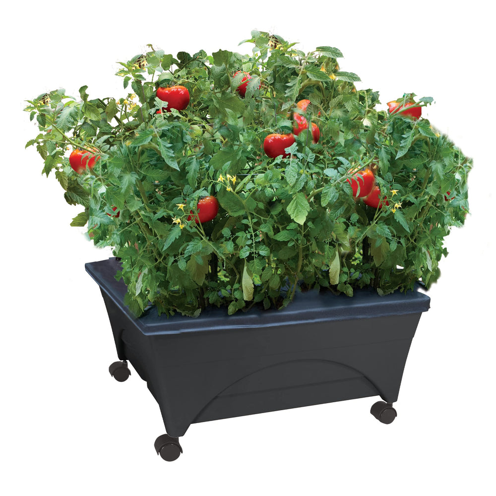 Emsco Group City Picker Grow Box in charcoal colour