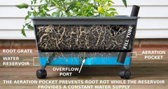 Emsco Group City Picker Raised Bed Grow Box showing water reservoir