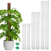EOX Plastic Moss Pole 24-inch front view