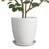 EPFamily 10 Inch Ceramic Planter Pot front view with saucer
