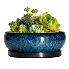 EPFamily 6 Inch Blue Ceramic Succulent Pot front view