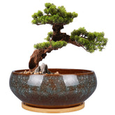 EPFamily 8 Inch Ceramic Bonsai Planter Pot front view with bamboo saucer