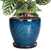 EPFamily 8 Inch Ceramic Planter Pot in blue with drainage saucer