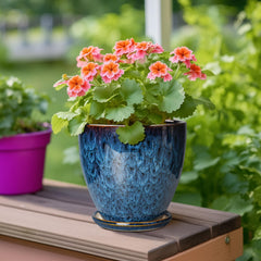 EPFamily Ceramic Plant Pot in home decor setting