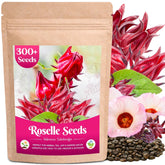 EquSym 300+ Roselle Seeds package front view