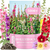 EquSym 5000+ Hollyhock Seeds Bulk Pack with mixed colour seeds