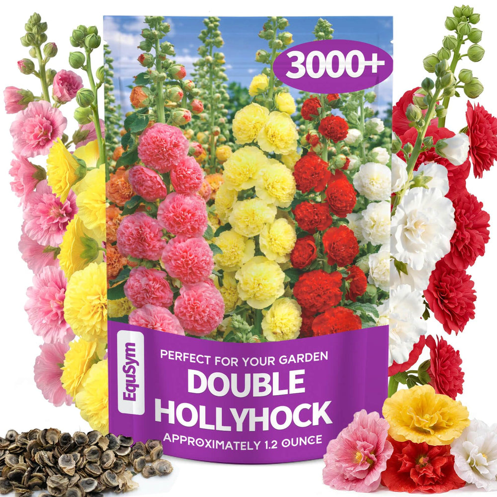 EquSym Double Hollyhock Flower Seeds bulk pack front view