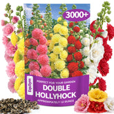 EquSym Double Hollyhock Flower Seeds bulk pack front view
