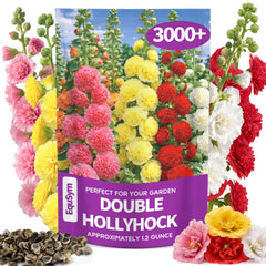 EquSym Double Hollyhock Flower Seeds bulk pack front view