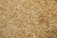 Eretz Kentucky 31 Tall Fescue Grass Seed on soil