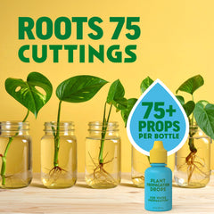Escentile Plant Propagation Rooting Drops on a table with plants