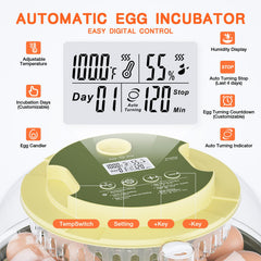 Etegow 18 Egg Incubator showing automatic egg turner mechanism