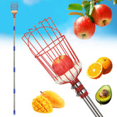 EUIJOIP 75-inch Fruit Picker Pole Tool front view with claw basket