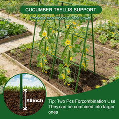 Eunice 33x47 A-Frame Trellis set assembled in garden