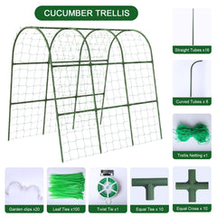 Eunice U-Shape Cucumber Trellis assembled in garden setting