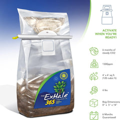 Exhale CO2 365 bag in a grow tent with plants