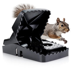 eXuby Squirrel Trap front view, black plastic design