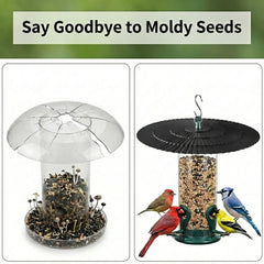 Eyrosa 11.5 inch rain guard protecting bird feeder from rain