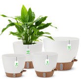 Ezmixcoop 12-inch self watering pot with water level indicator