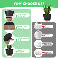 Ezmixcoop pots showcasing the clip-on watering lip feature
