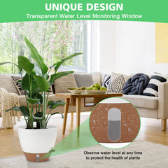 Ezmixcoop self watering pots displayed with plants