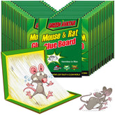 Ezoon 24 Pack Mouse Glue Traps, green colour, front view