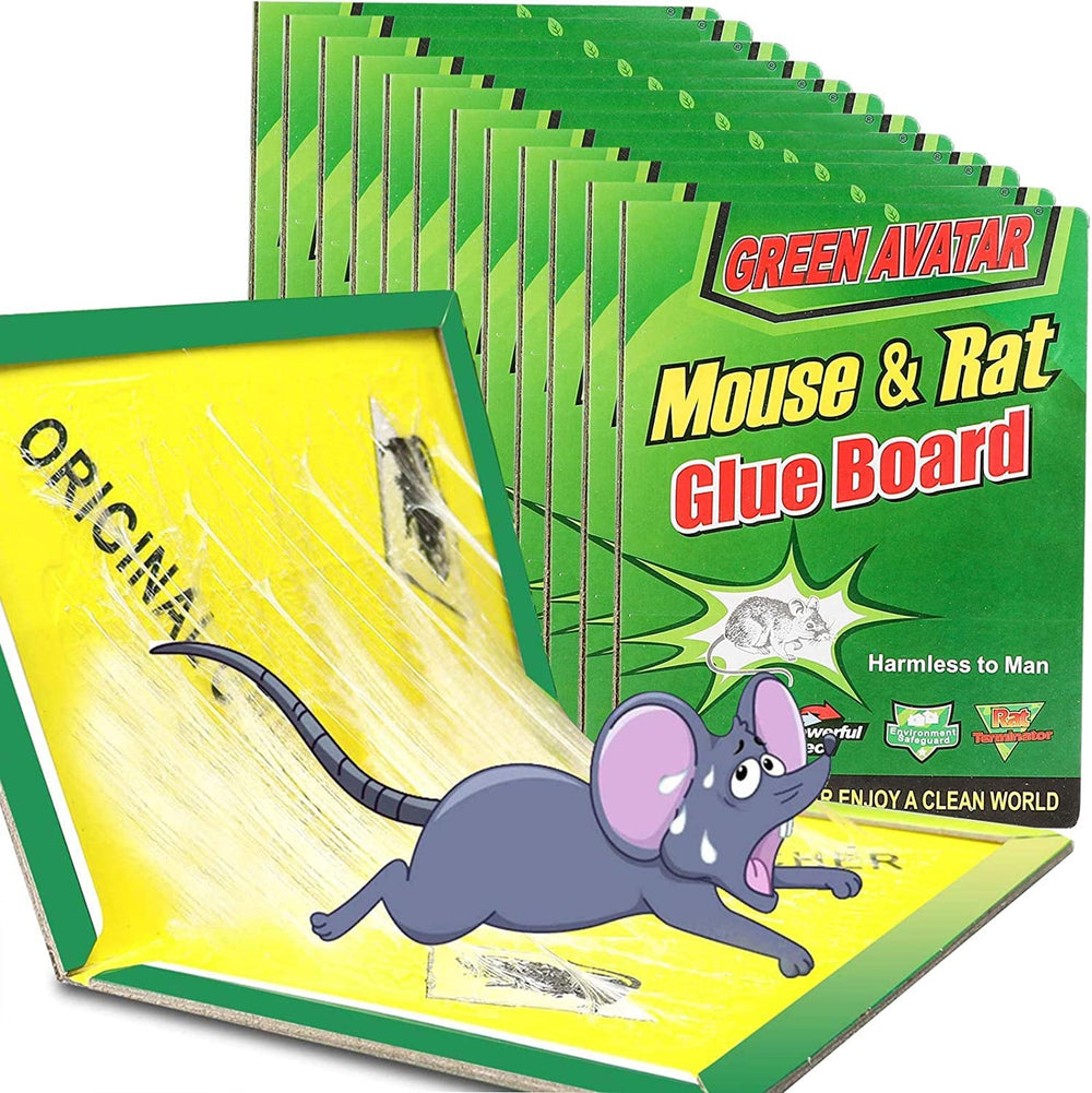 Ezoon Mouse Glue Traps 12 pack, Green front view