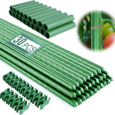 Fabulas 16-inch garden stakes with green plastic coating