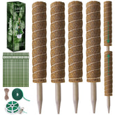Fabulas Moss Pole 16 inch plant support front view