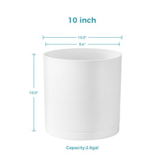FaithLand 10-Inch Modern Planter filled with Fiddle-Leaf Fig
