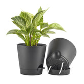 FaithLand 8 Inch black self-watering planter pot front view