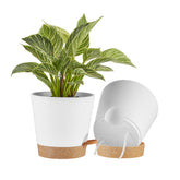 FaithLand 8 Inch self-watering planter pot front view in white with terracotta
