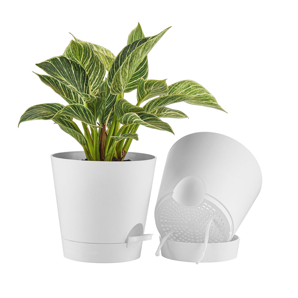 FaithLand 8-inch self-watering planter pot, white, front view