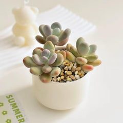 FANTIAN 10 lbs gravel for landscaping applications