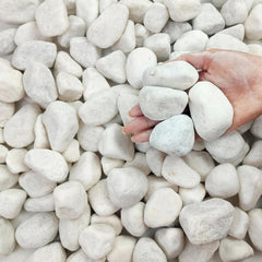 FANTIAN 5 lbs White Matte Rocks for Plants, 2-3 inch pebbles front view