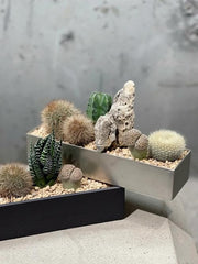 FANTIAN pea gravel used as a soil topper for plants