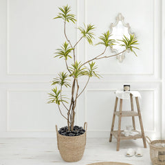 FANTIAN pebbles used as vase fillers with flowers