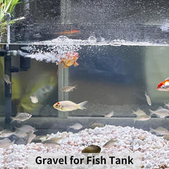 FANTIAN white gravel spread over soil in a pot