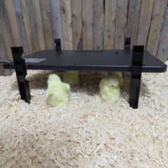 Farm Innovators chicken coop heater in use