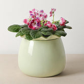 Fayoula Self Watering Plant Pot front view in green