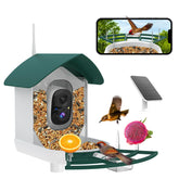 Fazoxo Bird Feeder front view with camera and dark green finish